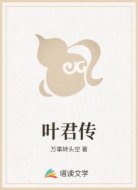 叶君传