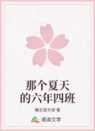 那个夏天的六年四班