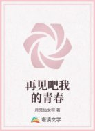 再见吧我的青春