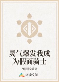 灵气爆发我成为假面骑士