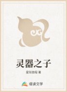 灵器之子