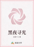 黑夜寻光