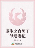 重生之直男王爷追妻记