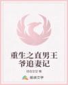 重生之直男王爷追妻记