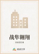 战隼翱翔