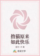 撸猫原来如此快乐