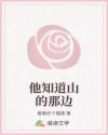 他知道山的那邊