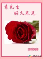 袁先生好久不见
