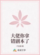 大佬你拿错剧本了