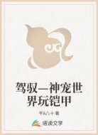 驾驭—神宠世界玩铠甲