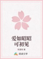 爱如昭昭可初见