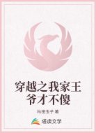 穿越之我家王爷才不傻