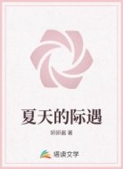 夏天的际遇