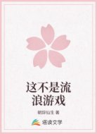 这不是流浪游戏