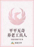 平平无奇养老工具人
