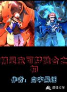 精灵宝可梦一融合之初