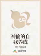 神偷的自我养成