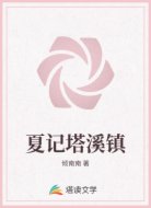 夏记塔溪镇