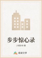 步步惊心录