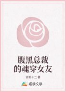 腹黑总裁的魂穿女友