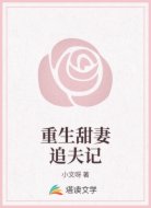 重生甜妻追夫记