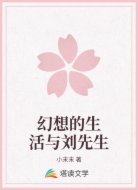 幻想的生活与刘先生