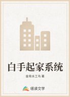 白手起家系统