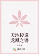 天地传说龙凰之语