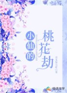 小神仙的桃花劫