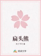 扁头熊