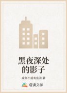 黑夜深处的影子