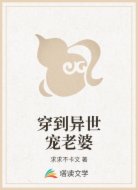 穿到异世宠老婆