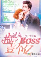 诱宠:捡了BOSS一个亿!
