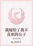 我嫁给了我不喜欢的公子