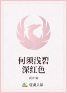 何须浅碧深红色