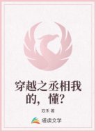 穿越之丞相我的，懂？