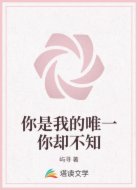 你是我的唯一你却不知