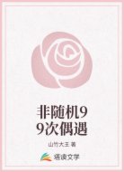 非随机99次偶遇