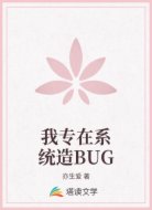 我专在系统造BUG