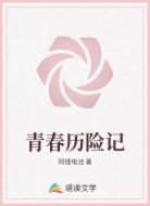青春历险记
