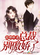 隐婚娇妻,总裁别傲娇了!