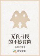 无良刁民的不妙冒险