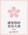 遇見(jiàn)你時(shí)星沉大海