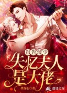 报告薄少:失忆夫人是大佬