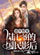 盛世婚宠:陆七爷的国民影后