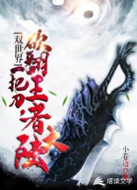 书名