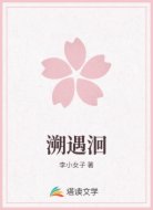 溯遇洄