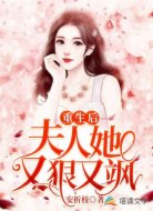 重生后夫人她又狠又颯