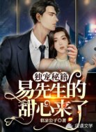 独宠秘籍:易先生的甜心来了