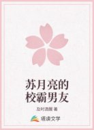 苏月亮的校霸男友
